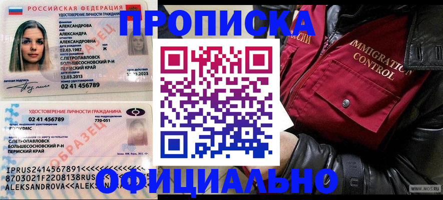 временная регистрация госуслуги в Благовещенске